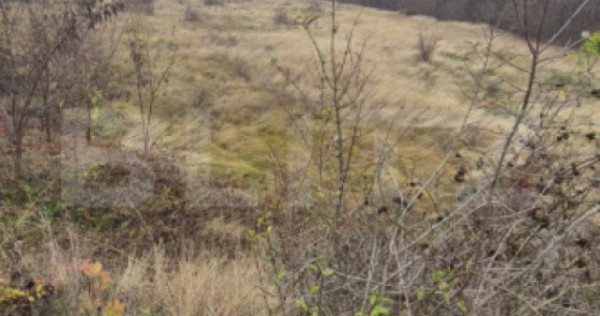 Teren 1.765 mp, sub Barajul Căpâlna