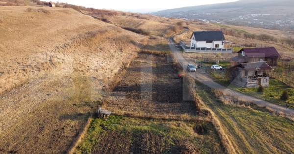 Teren de vanzare - Chinteni