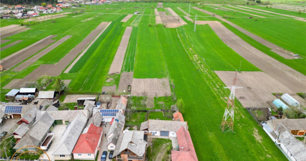 Ansamblu:doua case anexe domeniu de 10.101mp, Intorsura Buza