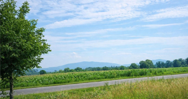 Lot pentru casa, 800 mp intravilan, Bod, 15 min Brasov