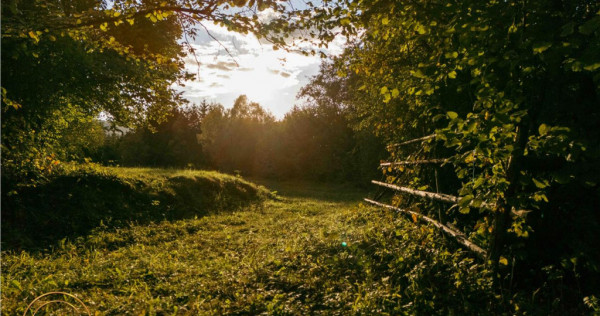 FILM! Teren extravilan, Ojdula, 4.800 mp, zona pitoreasca