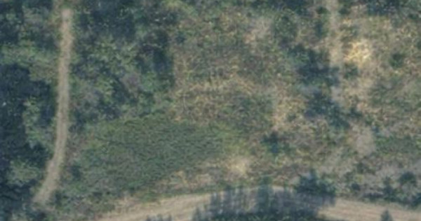 Teren intravilan Tautii Magheraus pentru constructii civile