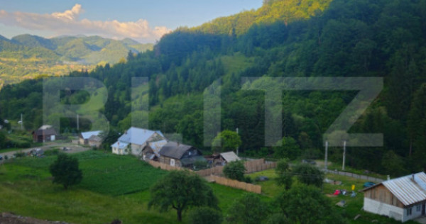Teren de vanzare, 10.000 mp - Bistrita Bargaului, zona turis