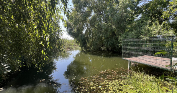 Teren cu deschidere la Lac Snagov.