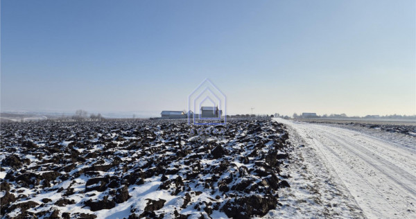 Teren extravilan Sf. Ilie