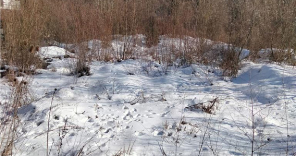 Teren Intravilan Sinaia Calea Calarasi 4034 mp, zona exclusi