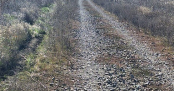 Teren intravilan 1000 mp &ndash; Magnolia