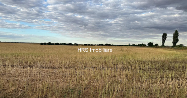 Teren intravilan Branesti