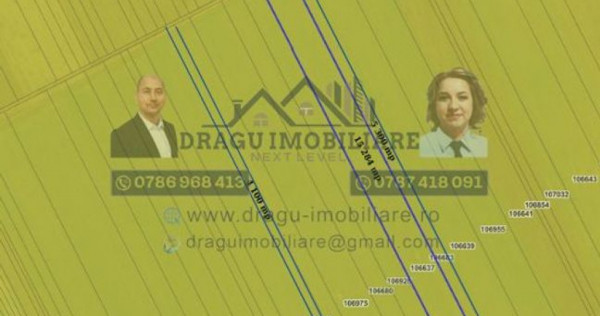 Teren agricol Munteni/Galati / 7.5 ha