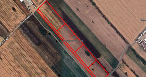 Teren Magurele - Varteju - Centura, ILFOV