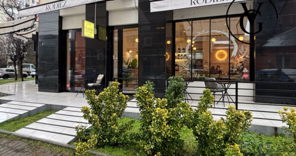 Spatiu comercial modern - Bd. Ion Mihalache