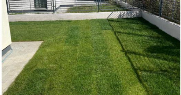 Casa moderna 4 camere cu gradina si parcare Calea Feldioarei