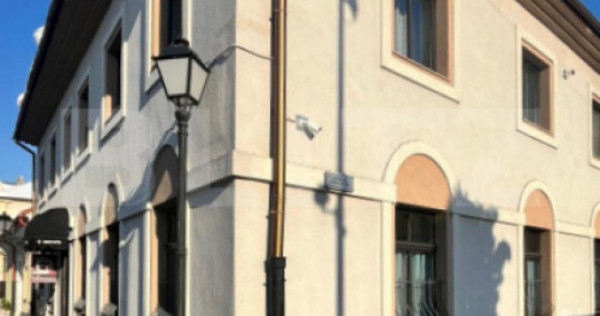 Oportunitate investiție BISTRIȚA: Bistro, casă și birour