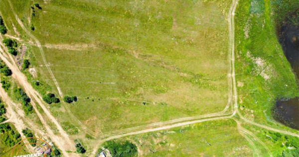 Teren 14.000 mp in statiunea Covasna, ideal pentru rezidenti