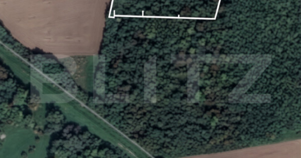 Pădure 10.000 mp Șag &ndash; front stradal 100 m, zonă &icirc;n de
