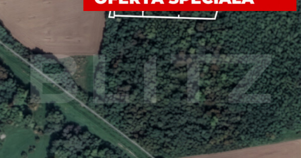 Pădure 10.000 mp Șag &ndash; front stradal 100 m, zonă &icirc;n de