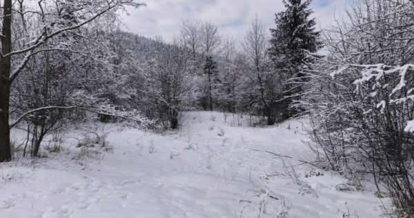 Teren intravilan, 22600mp, zona Manastirea Sucevita