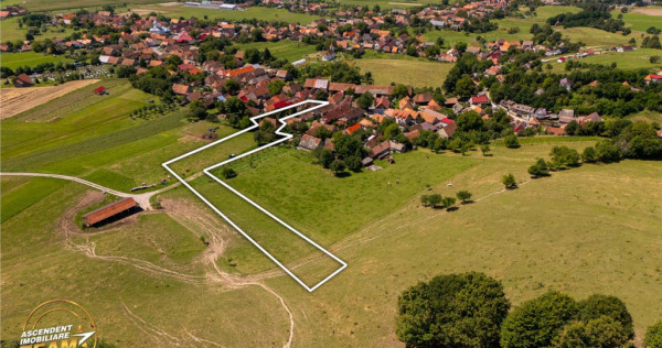 FILM! Domeniu peste 5.000mp 2case traditionale, Bixad, Cova