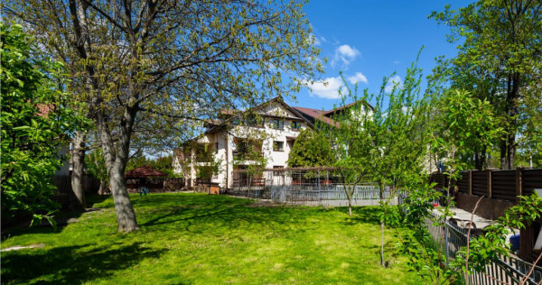 FILM! Rezidential sau investitional, teren extins, Tractorul