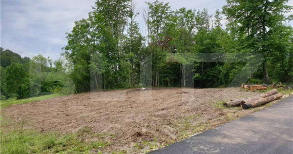 Teren intravilan 923 mp, Bucium, Alba