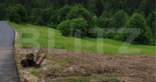 Teren intravilan 923 mp, Bucium catre Detunata