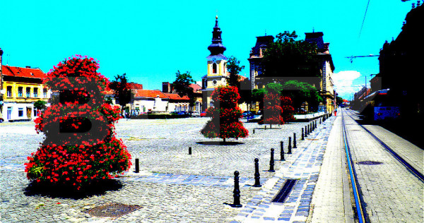 Casa individuala, 5 apartamente, 308 mp, zona Traian