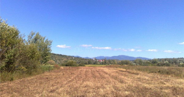 Teren intravilan 55 Ari Sacalaseni strada principala