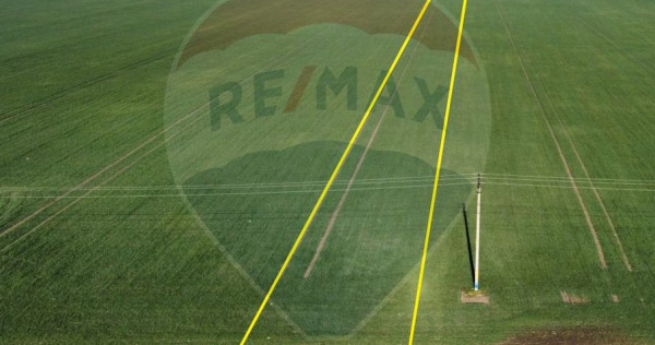 Teren 10,000mp Focsani / DJ 204D