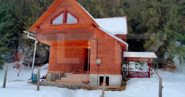 Cabanǎ cochetǎ la marginea pǎdurii &ndash; Dealul Bajului