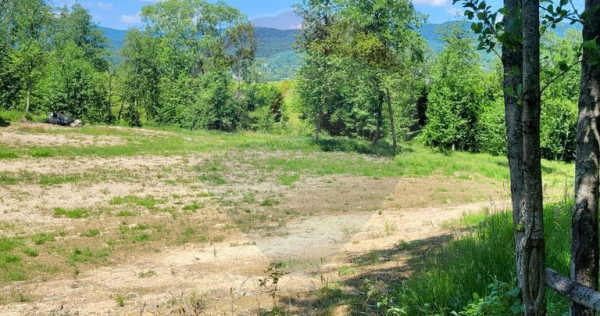 Oază de liniște &ndash; teren de v&acirc;nzare 6.725 mp