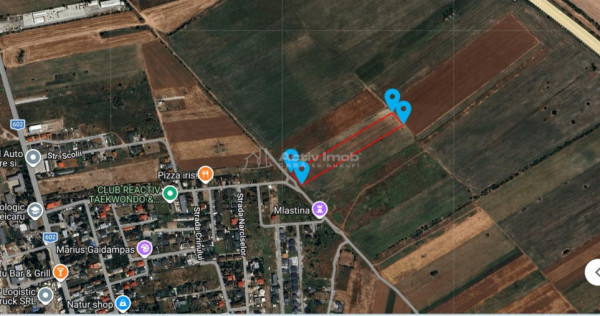 Teren intravilan, 12000 mp, Ciorogarla, jud. Ilfov