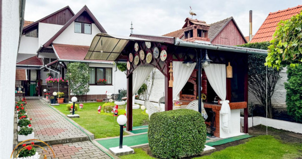 FILM 3D! Intre traditie si modern, un camin cu personalitat