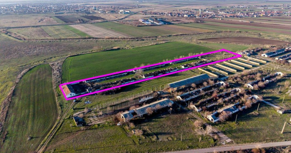 NĂDLAC | Teren 1.15 HA l&acirc;ngă Autostradă | 2.500mp Hale