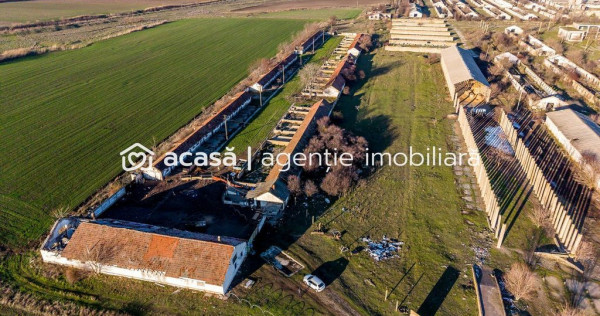 NĂDLAC | Teren 1.15 HA l&acirc;ngă Autostradă | 2.500mp Hale
