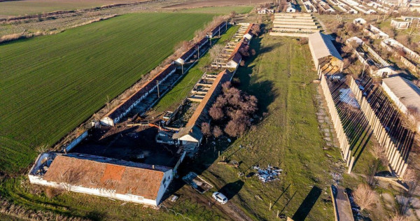 NĂDLAC | Teren 1.15 HA l&acirc;ngă Autostradă | 2.500mp Hale