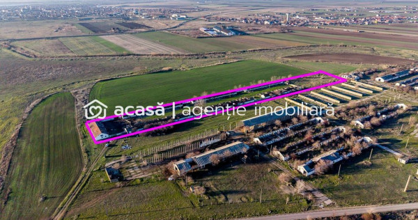 NĂDLAC | Teren 1.15 HA l&acirc;ngă Autostradă | 2.500mp Hale