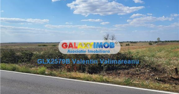 Teren Petrichioaia cod vi 201