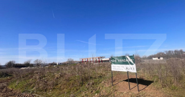 Teren intravilan 12.500 mp, zona Profi Logistic Isalnita
