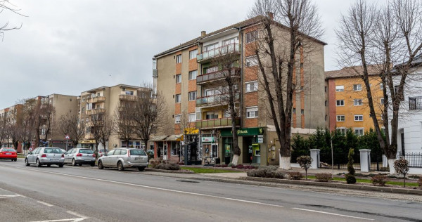 Apartament spatios in centrul orasului Chisineu Cris