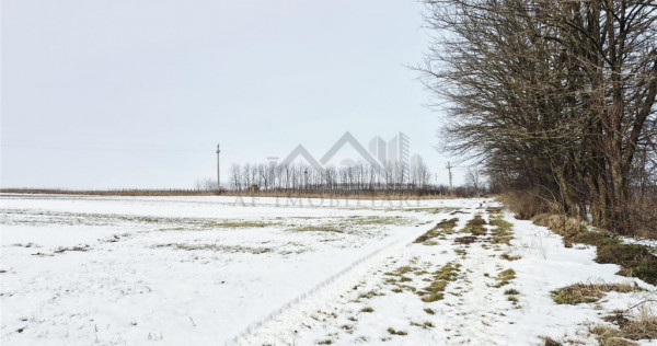 Teren intravilan de la 11 km de Palatul Culturii Iasi