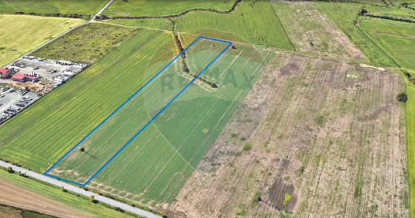 Teren comercial 5 ha, PUZ aprobat, acces direct Centura N...