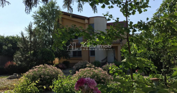 Vila Clinceni- Monumentul Eroilor