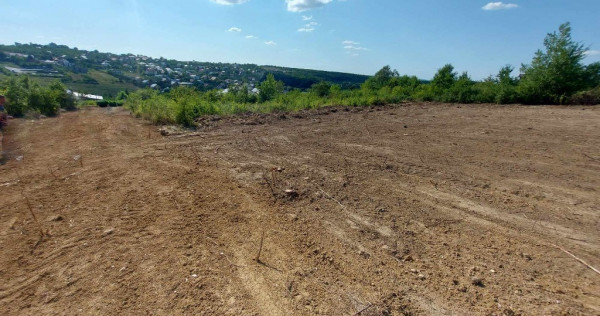 Teren intravilan , Bucium Barnova