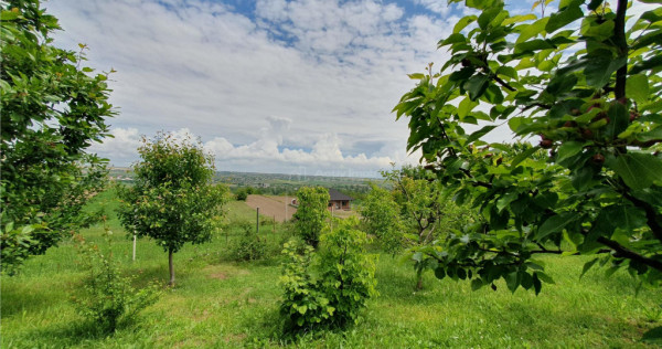 Teren intravilan - 2400 mp - 3 cabane din lemn modulare - Li