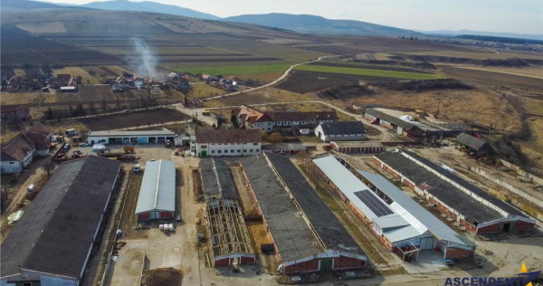 FILM! Complex agrozootehnic cu traditie, echipat,pretios pot