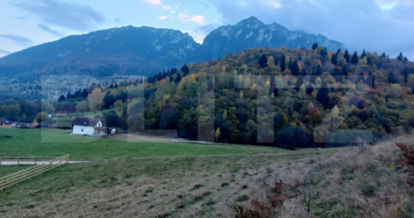 Teren extravilan de vanzare, 506 mp - zona Plaiu Foii