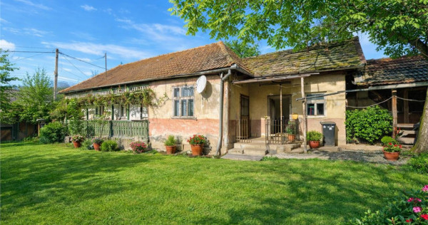 FILM! Casa si anexe, pe domeniu de 6.221mp, livada pomi fru