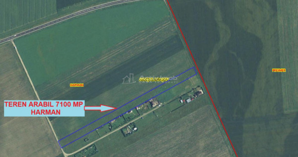 Arabil Harman, spre Prejmer, langa case, acces usor, pretabi