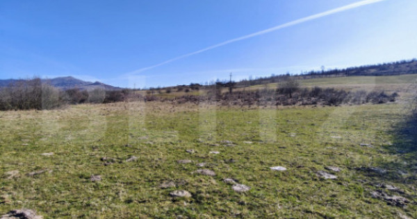Teren intravilan &ndash; Cusma | 50 ari | Zona linistita