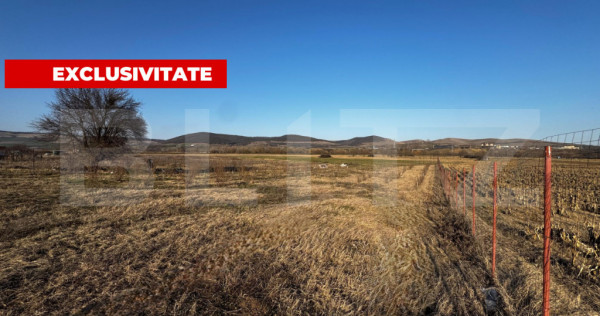 EXCLUSIVITATE BLITZ &ndash; Teren intravilan 1300 mp, zona Mice?